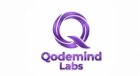 qodemind labs transparent logo